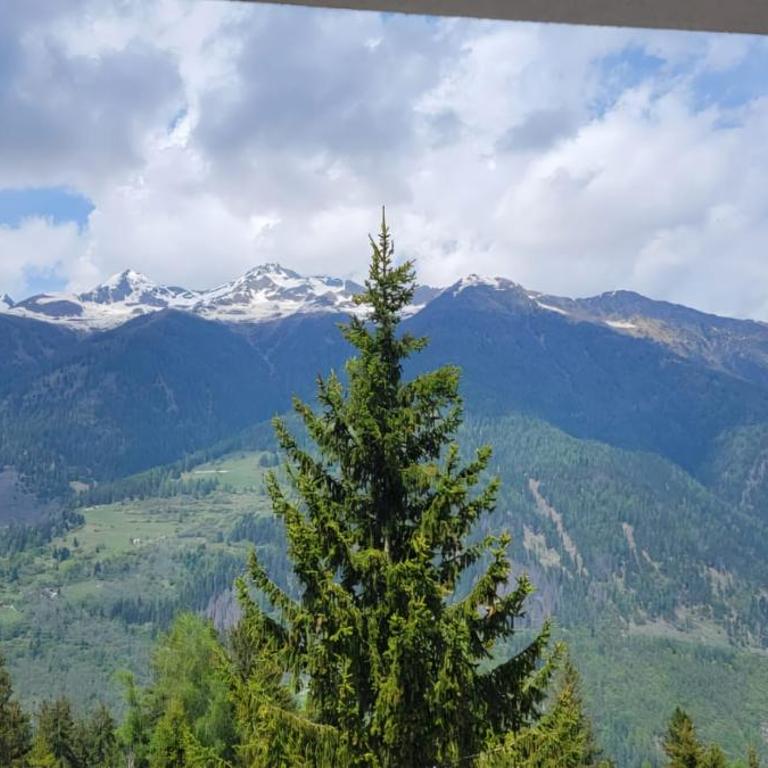 Appartamento Pian dei Mughi Marilleva 1400 - Apartment mit 1 Schlafzimmer - 9