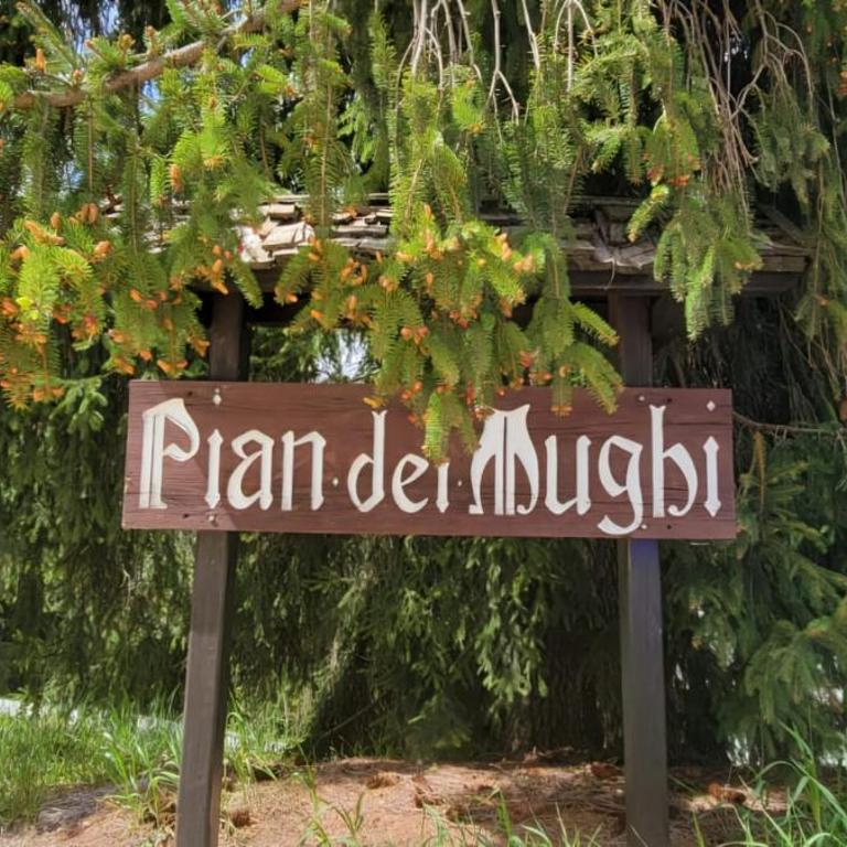 Appartamento Pian dei Mughi Marilleva 1400 - Apartment mit 1 Schlafzimmer - 3
