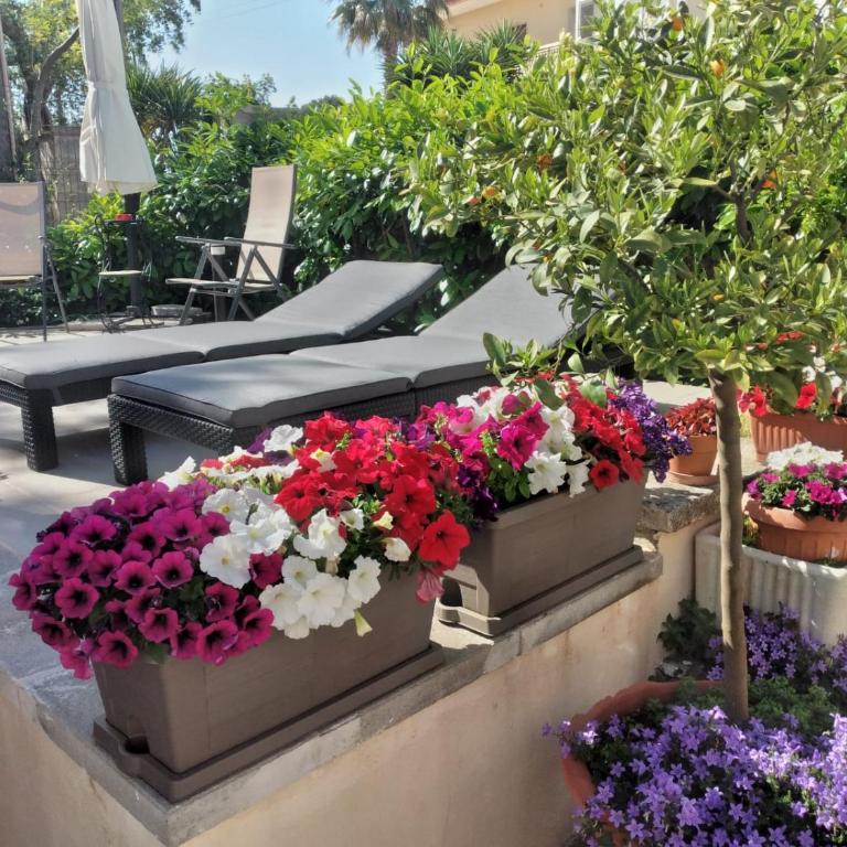 Il trullo felice - Casa con 2 Camere da Letto - 38