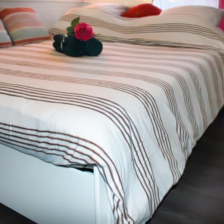 Studio Lumineux et plein de charme - Apartamento de 1 dormitorio - 12
