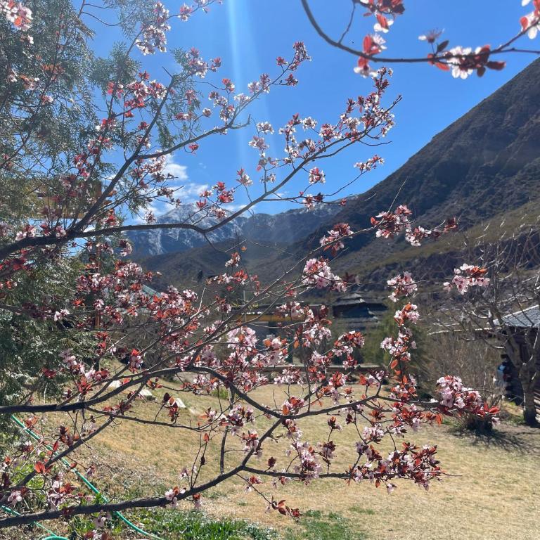 Cabaña Mirador Del Cielo Potrerillos - Chalet de 3 dormitorios - 16
