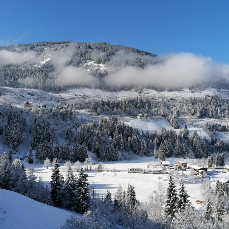 Belle View Gastein - Apartment mit 1 Schlafzimmer - 20
