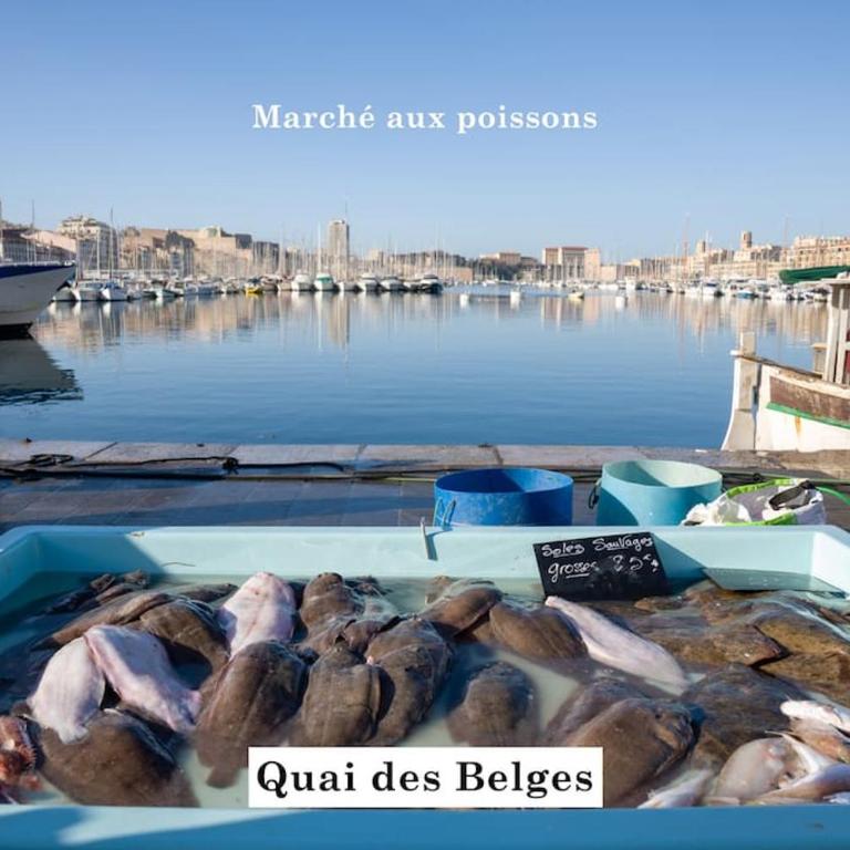 T4 plein coeur de Marseille avec vue Notre Dame - Apartment mit 3 Schlafzimmern - 27