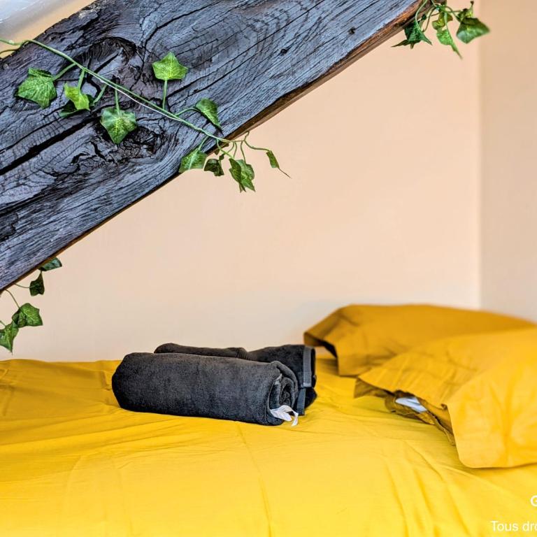 Ô Cocon - Central - Climatisé - Poutres apparentes - Appartamento con 1 Camera da Letto - 6