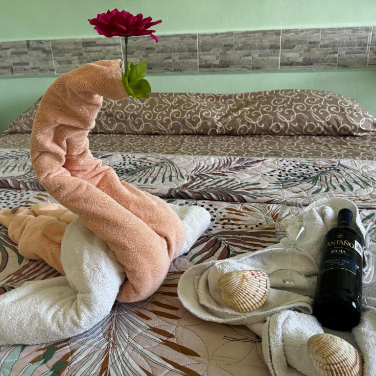 Casa Enna - One-Bedroom Apartment - 2