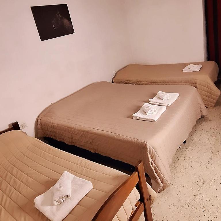 Alpha House Hostel - Economy Triple Room - 1