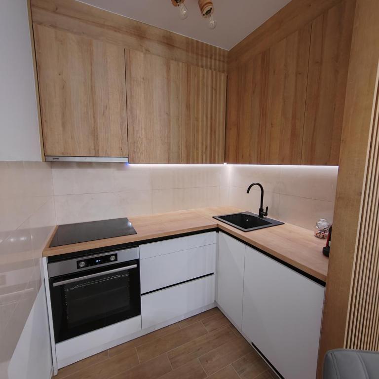 Apartman Simić Banja Koviljača - Apartman sa 1 Spavaćom Sobom - 13