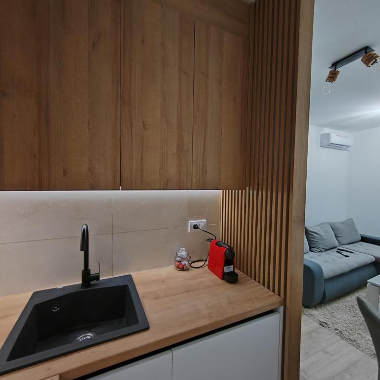 Apartman Simić Banja Koviljača - Apartman sa 1 Spavaćom Sobom - 14