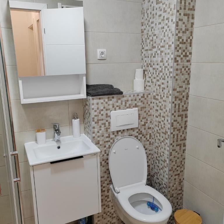 Apartman Simić Banja Koviljača - Apartman sa 1 Spavaćom Sobom - 19