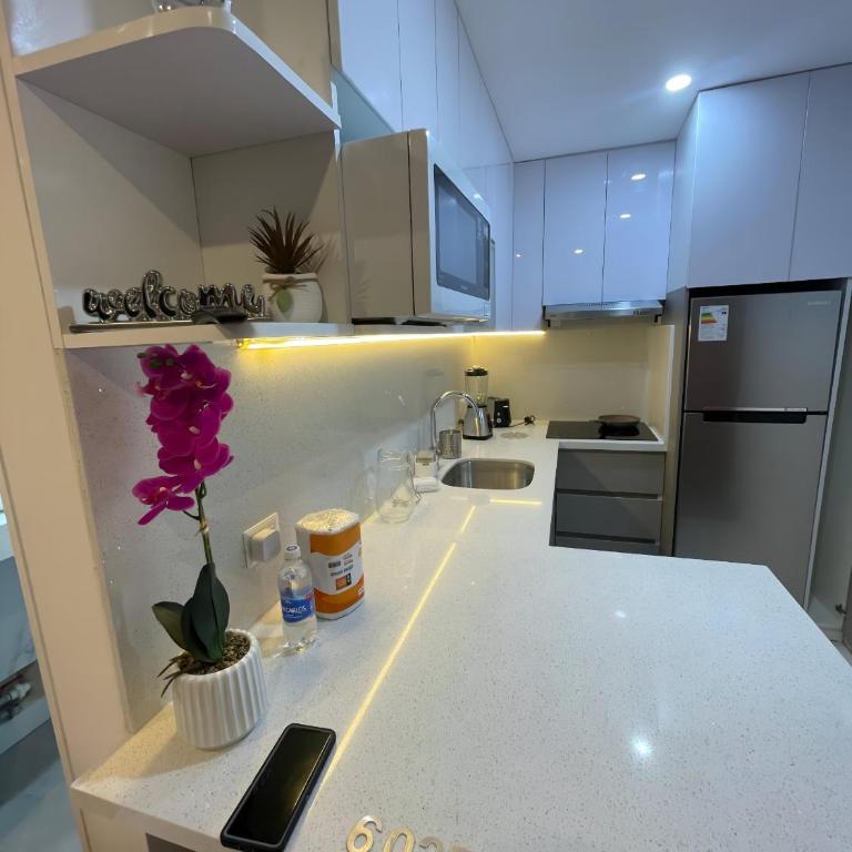 Av arequipa 603B - Apartamento - 33