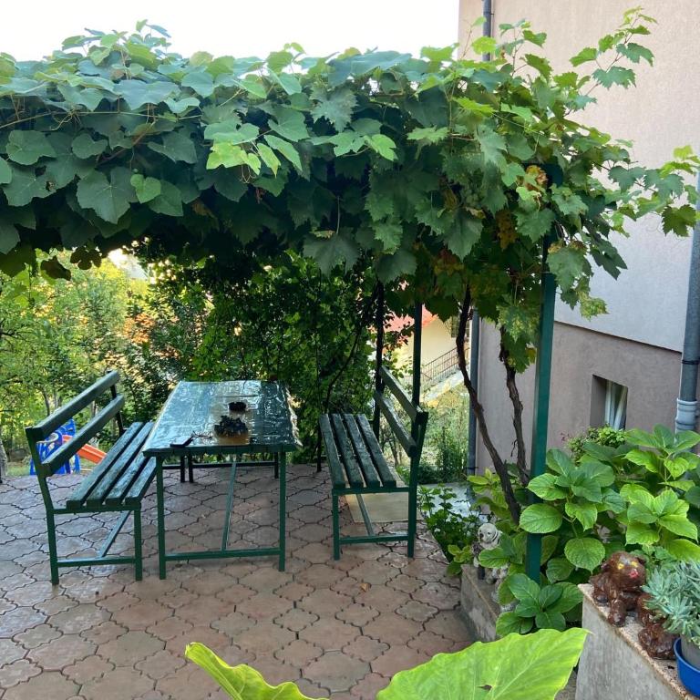 Apartman Kaan - Apartman sa 1 Spavaćom Sobom - 14