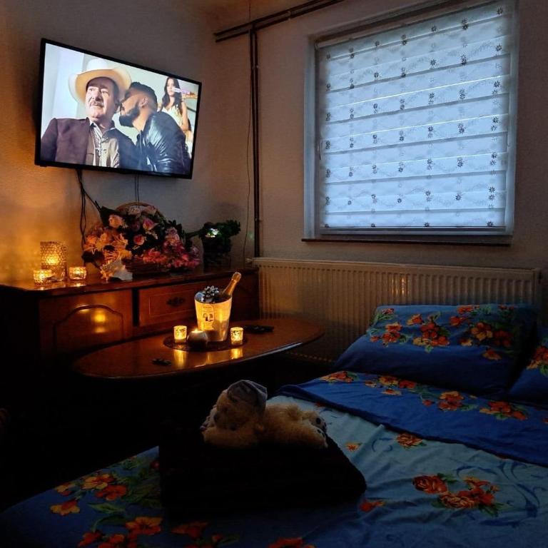 Apartman Kaan - Apartman sa 1 Spavaćom Sobom - 19