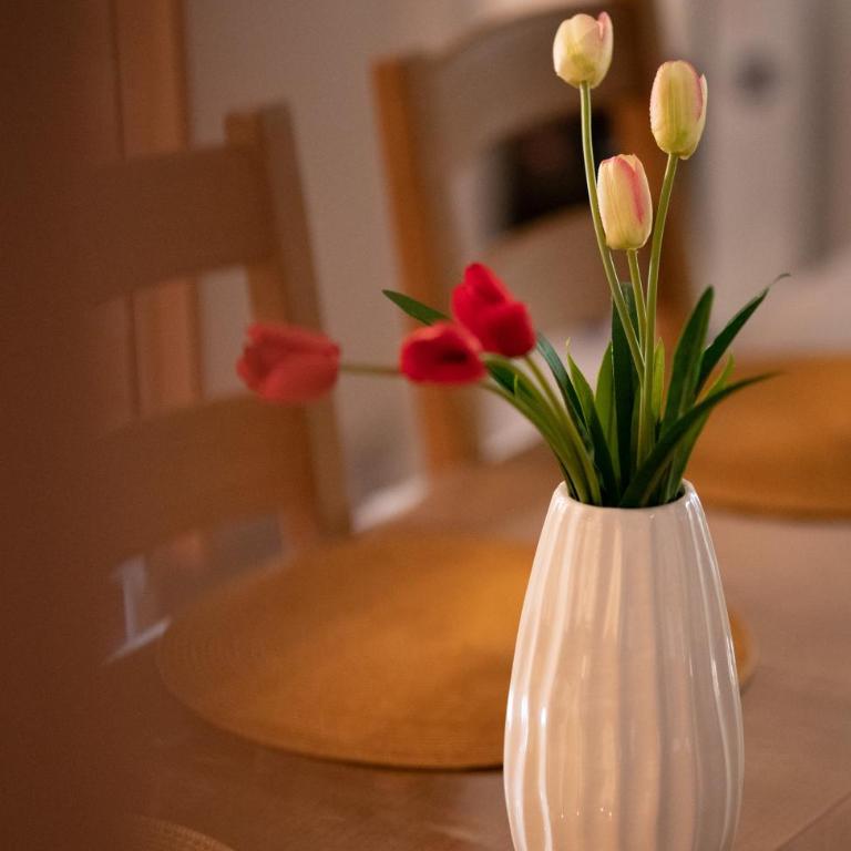 Villa Lux Kolasin - Vila sa 2 Spavaće Sobe - 14