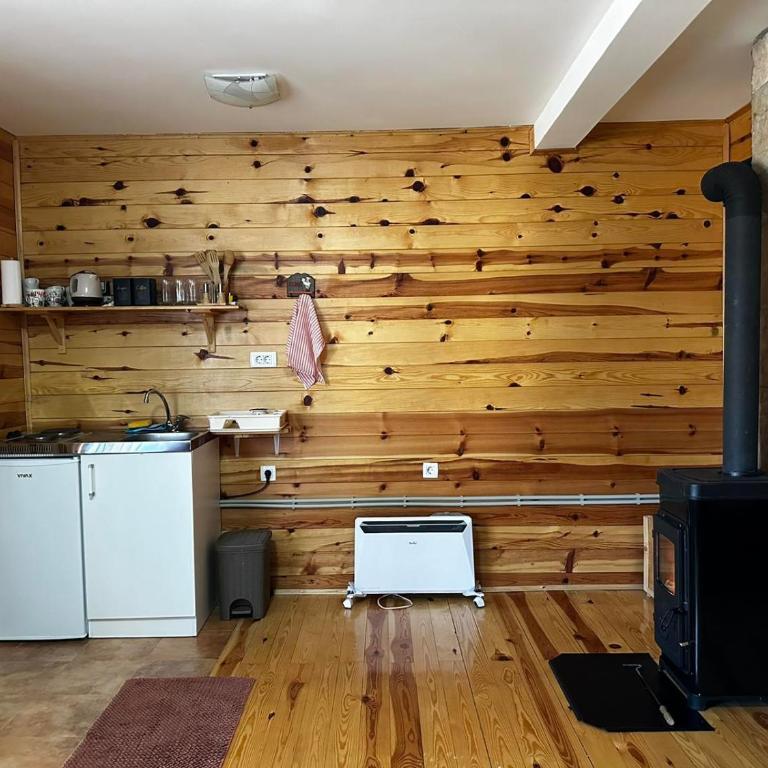 Vila Durmitorska bajka - One-Bedroom Apartment - 2