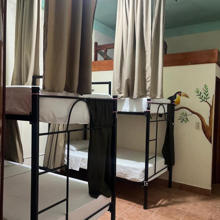 Candileja hostel - Cama Individual en habitación compartida femenina - 5