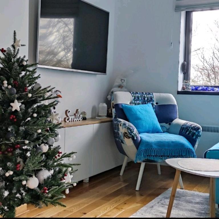 PLAVA ZVEZDA ZLATIBOR apartman u kompleksu Titova vila Zlatibor - One-Bedroom Apartment - 5