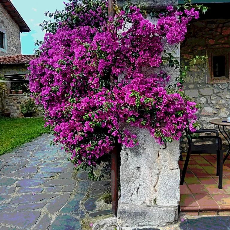 Gran Pedroso de Llanes - Four-Bedroom House - 36