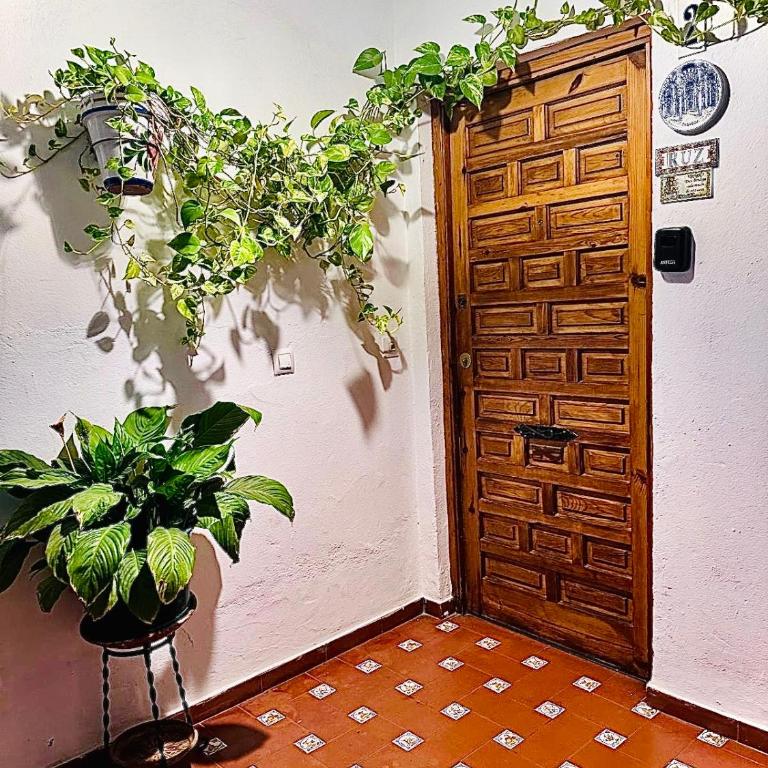 Apartamentos Ruz - Apartamento de 1 dormitorio - 19