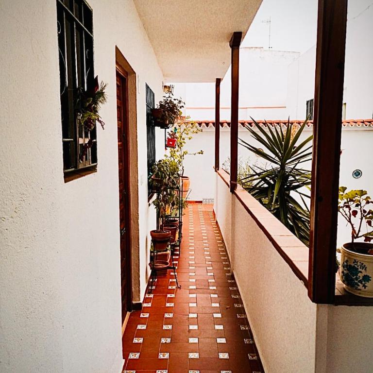 Apartamentos Ruz - Apartamento de 1 dormitorio - 21