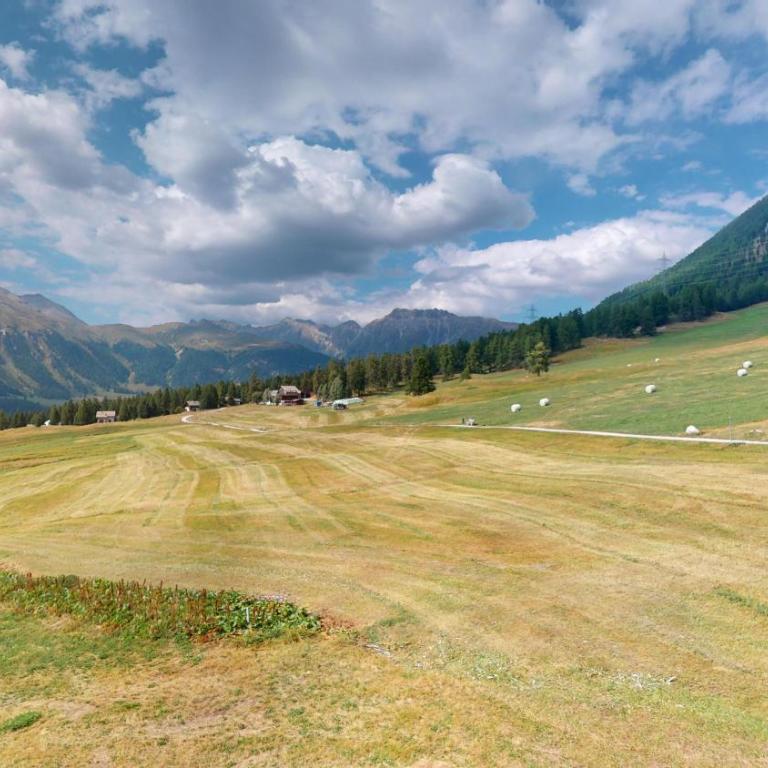 Abitaziun Staz 6 - Pontresina - Apartment mit Blick auf die Berge - 19