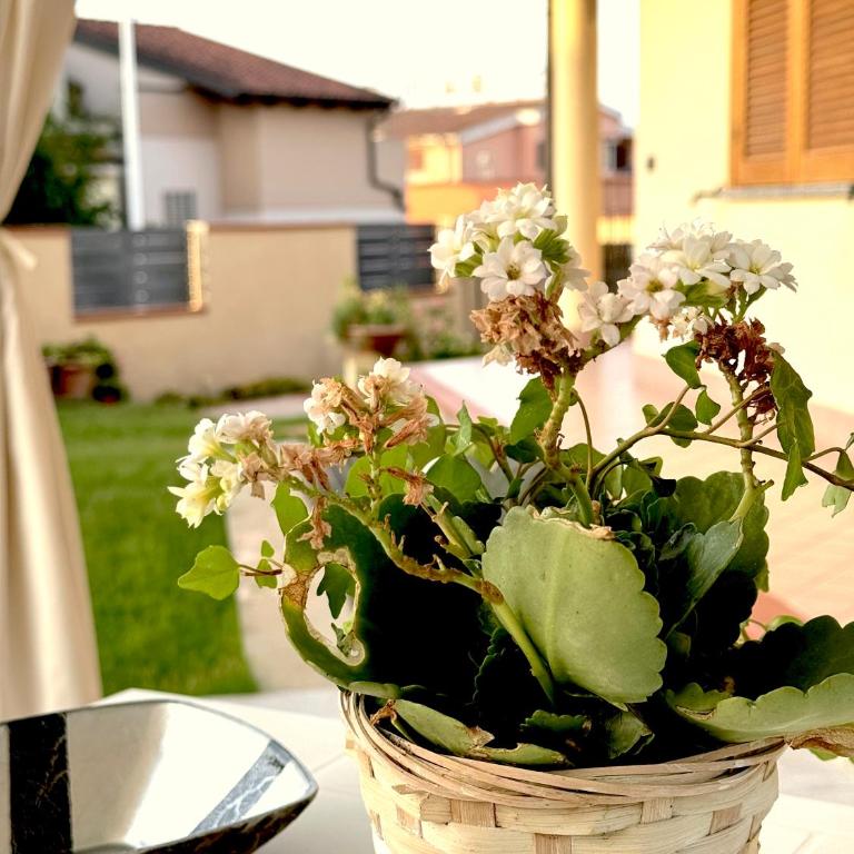 Rosa's House - zona ospedaliera - Superior Apartment - 6