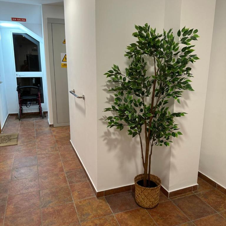 Mijas Playa Retreat - Apartamento de 2 dormitorios - 26