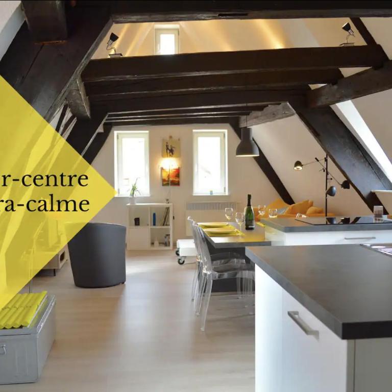 Bretzel & Raisin - Centre ville de Colmar - Apartment mit 1 Schlafzimmer - 1