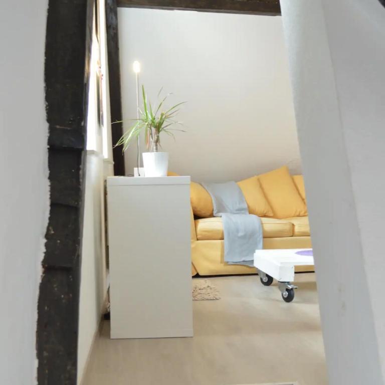 Bretzel & Raisin - Centre ville de Colmar - Apartment mit 1 Schlafzimmer - 28
