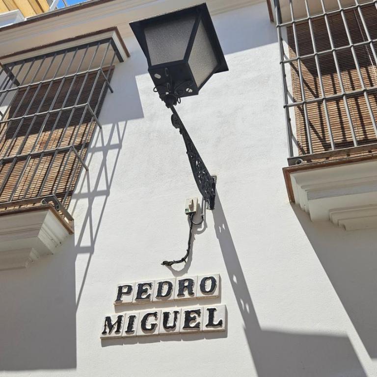 Wish Suite Feria de Sevilla - Apartamento de 1 dormitorio - 39