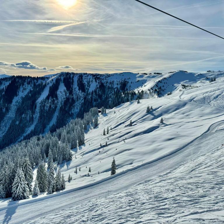 Panoramic Penthouse 10 min to Zell am See & Kaprun - Apartment mit 3 Schlafzimmern - 29
