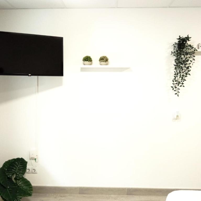 Rincón del Botánico - Apartamento de 1 dormitorio - 10