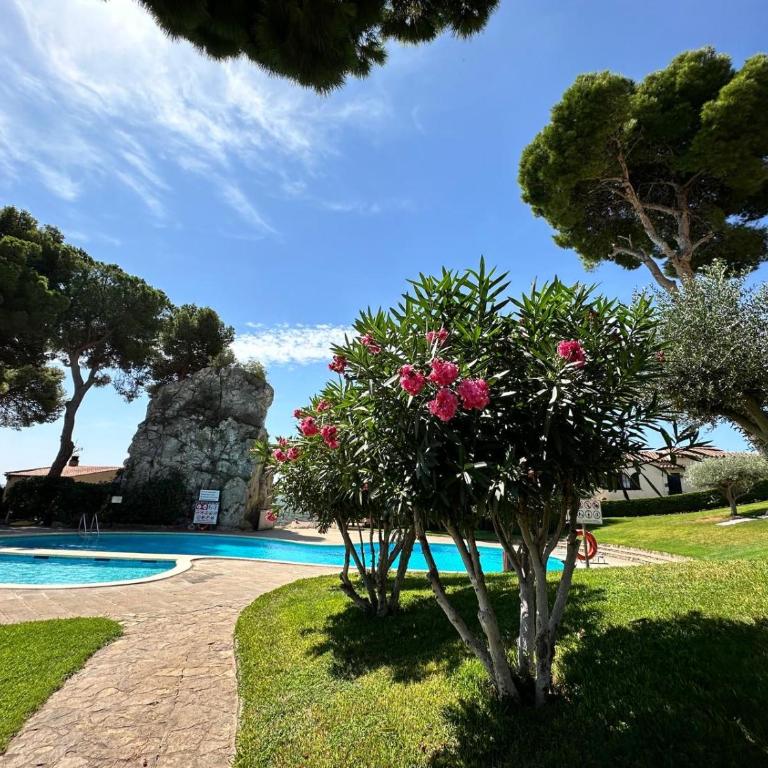 Mediterrania 98 - Casa Vacanze - 3