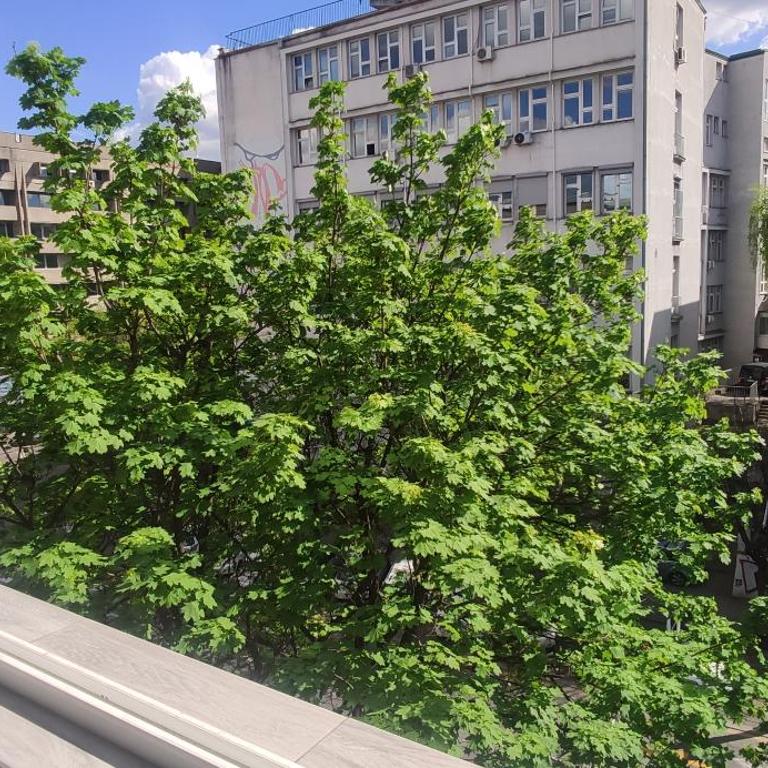 Sunny downtown apartment - Square 59 - Apartman sa 1 Spavaćom Sobom - 26