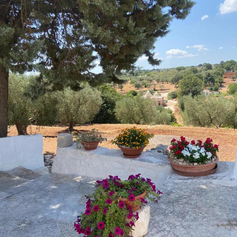 Trulli Bantonio - Casa con 2 Camere da Letto - 24