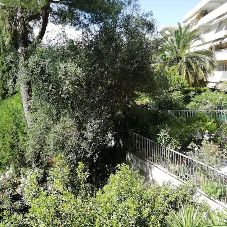 Superb flat in a residence Collines d'Estanove - Appartamento con 1 Camera da Letto - 2