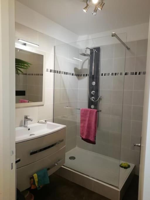 Superb flat in a residence Collines d'Estanove - Appartamento con 1 Camera da Letto - 14