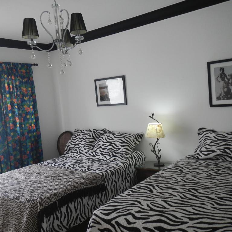 Blue Shark Apartments - Superior Double Room - 2
