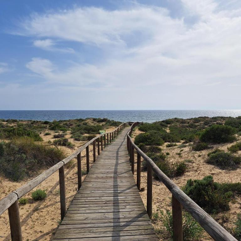 Duplex en Huelva a 15 minutos en coche de las mejores playas de España - Apartamento - 94