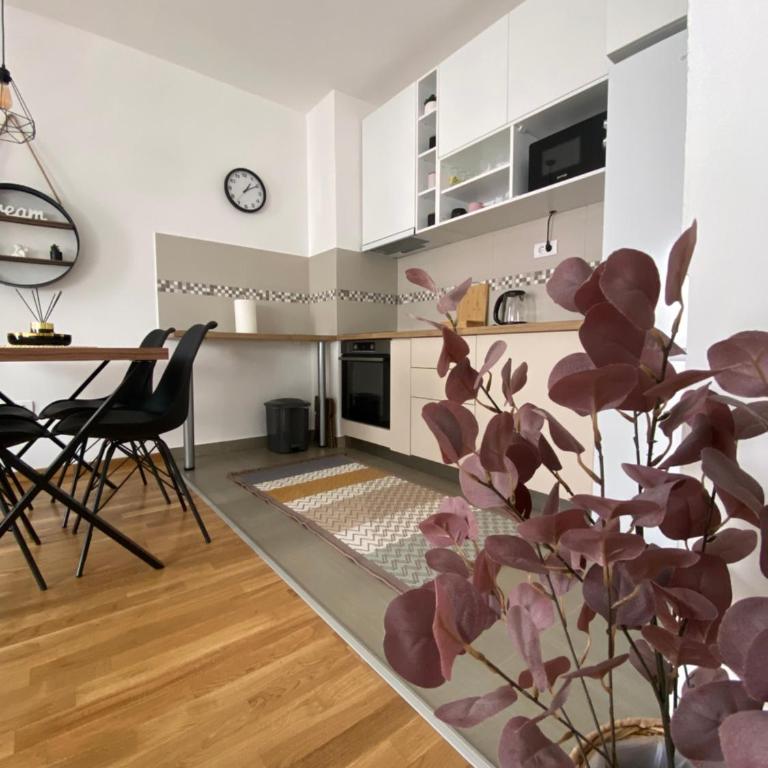 Angel Apartment - Apartman sa 1 Spavaćom Sobom - 12