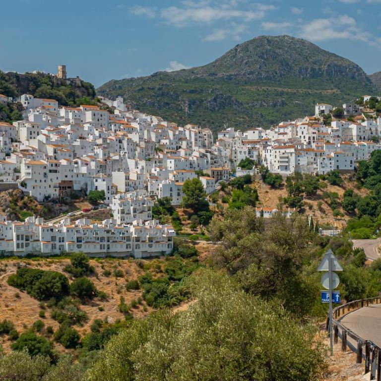 Stylish 3 bed house 2 bathrooms, with patio, roof terrace and communal pool 5 minutes away from the beautiful Spanish white village of Casares Pueblo and only 20 mins from the sea - Villa de 3 dormitorios - 35