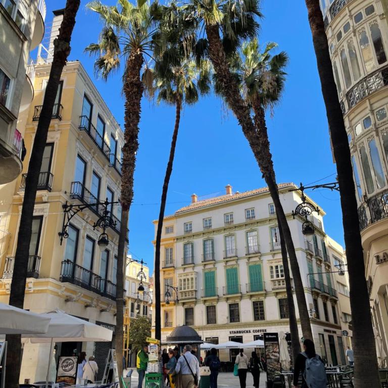 Picasso City Centre 1B - Apartamento Deluxe de 1 dormitorio - 12