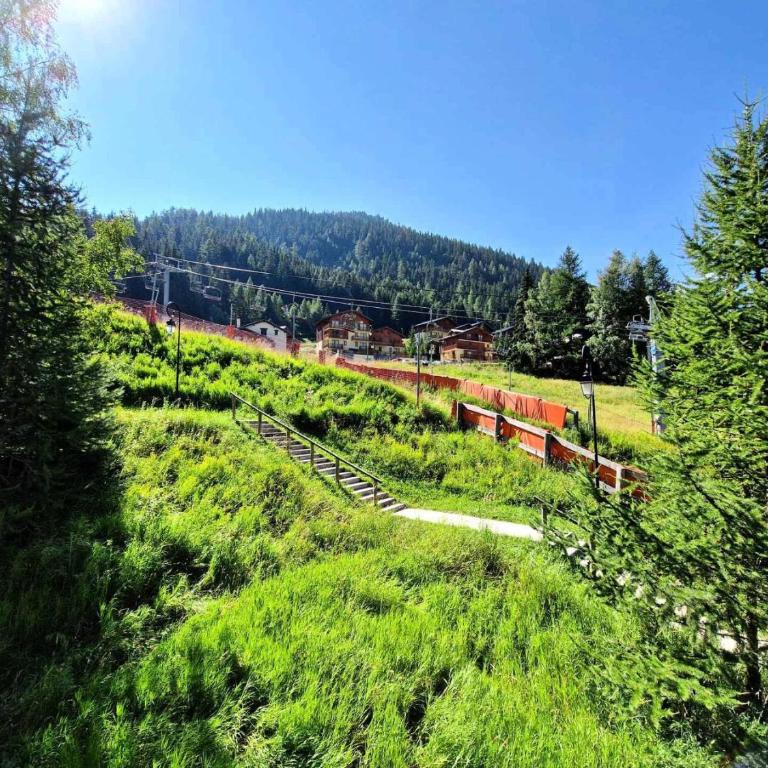Chalet Club - Studio 17m² 2/3 persons pied piste MAE-2980 - Estudio - 13