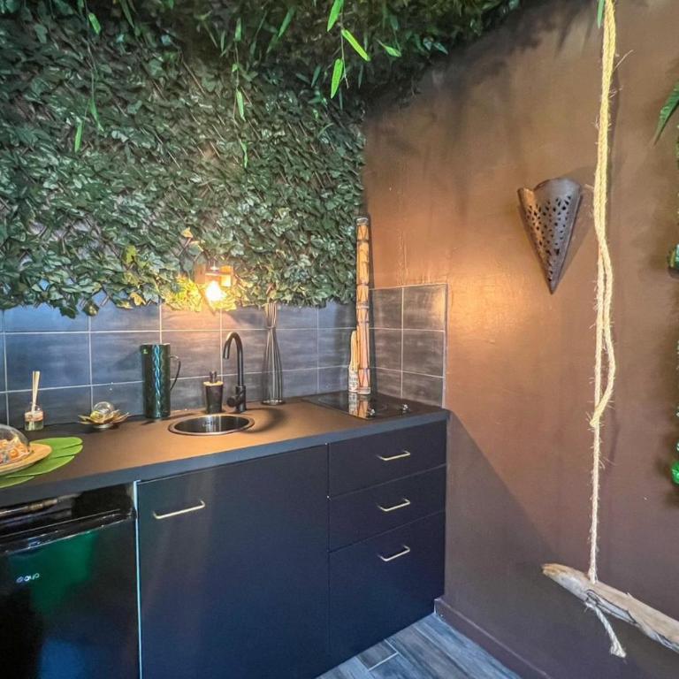 La Tanière de Mowgli - Plage du môle - Appartement 1 Chambre - 4