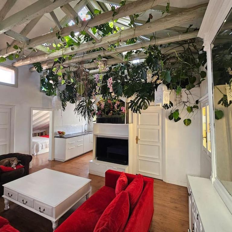 A garden in the clouds in the center of town - Apartment mit 2 Schlafzimmern - 2
