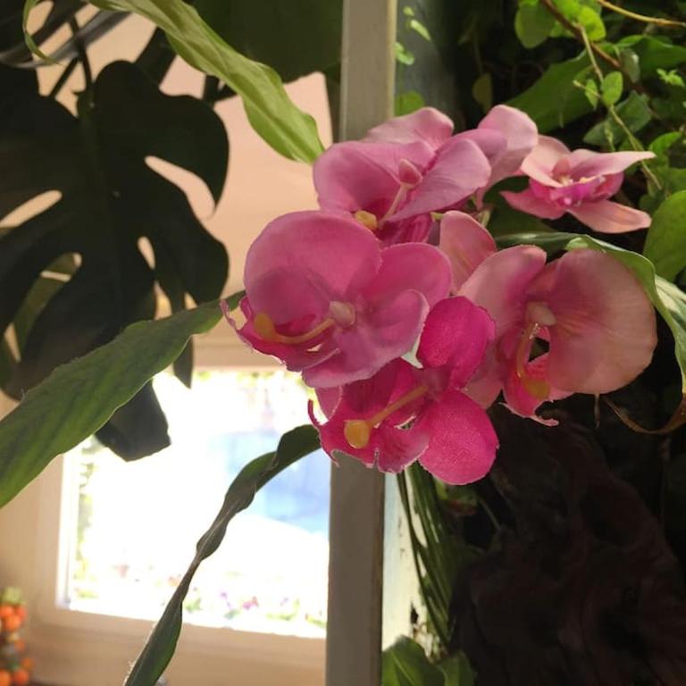 A garden in the clouds in the center of town - Apartment mit 2 Schlafzimmern - 23