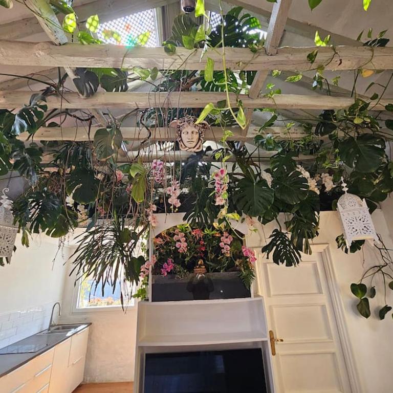A garden in the clouds in the center of town - Apartment mit 2 Schlafzimmern - 4