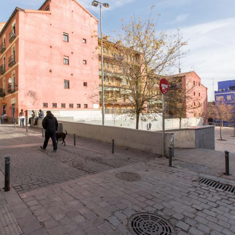 A garden in the clouds in the center of town - Apartment mit 2 Schlafzimmern - 25