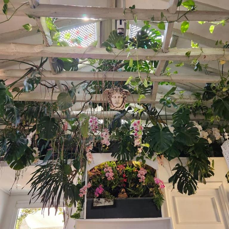 A garden in the clouds in the center of town - Apartment mit 2 Schlafzimmern - 7