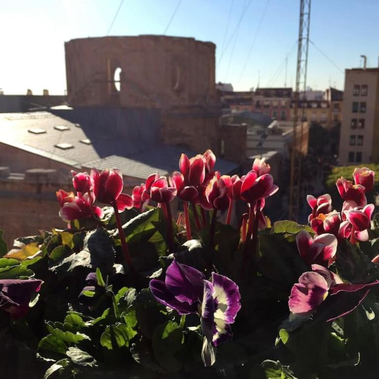 A garden in the clouds in the center of town - Apartment mit 2 Schlafzimmern - 11