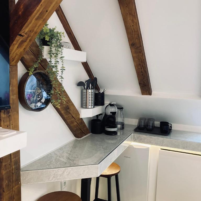 Petit nid sympa a Strasbourg - Appartamento con 1 Camera da Letto - 1